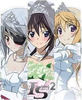 IS: Infinite Stratos 2 - Infinite Wedding - Anizm.TV